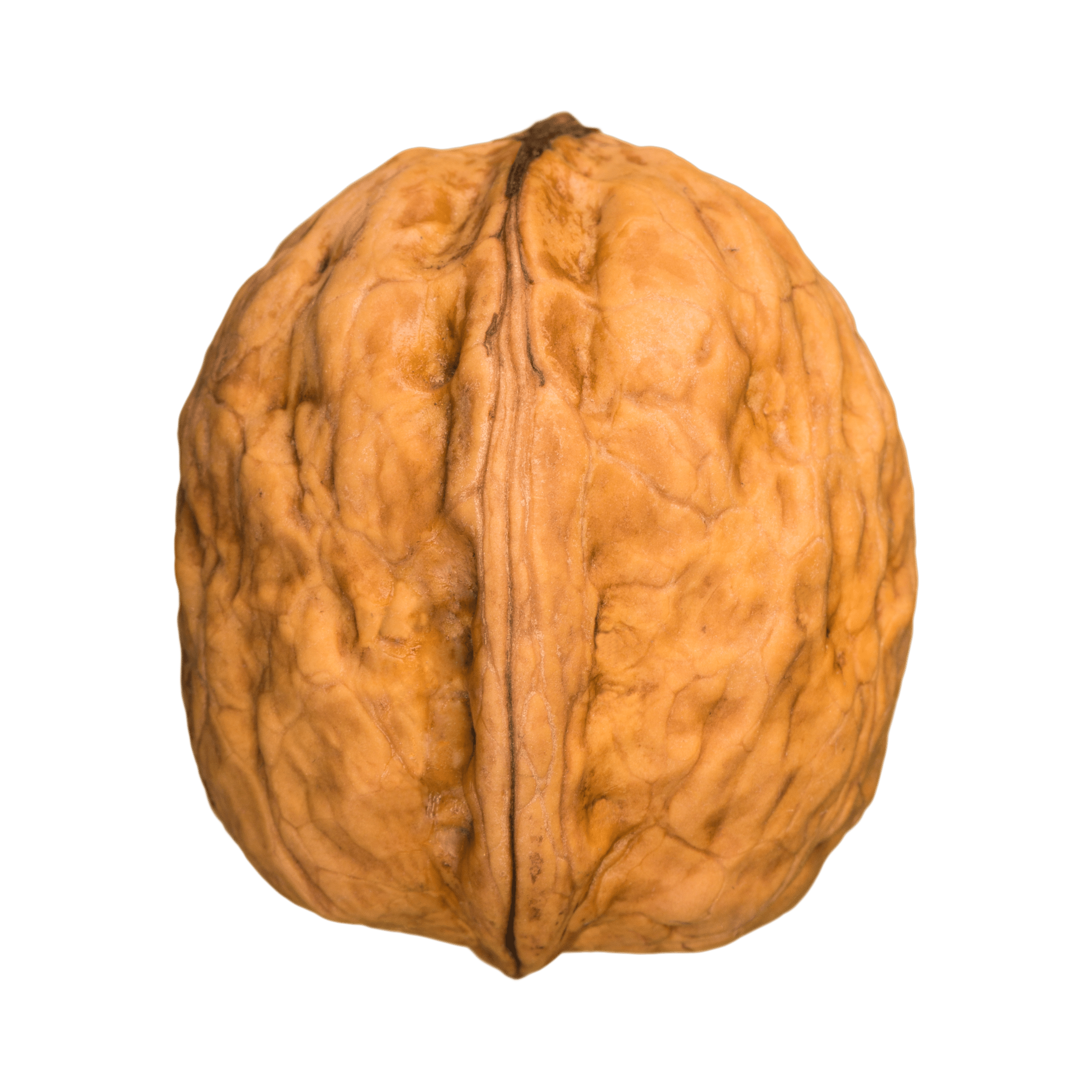 Green Watercolor Leaf on Light Yellow Background Square Pillow (2) Green Watercolor Leaf on Light Yellow Background Square Pillow 2